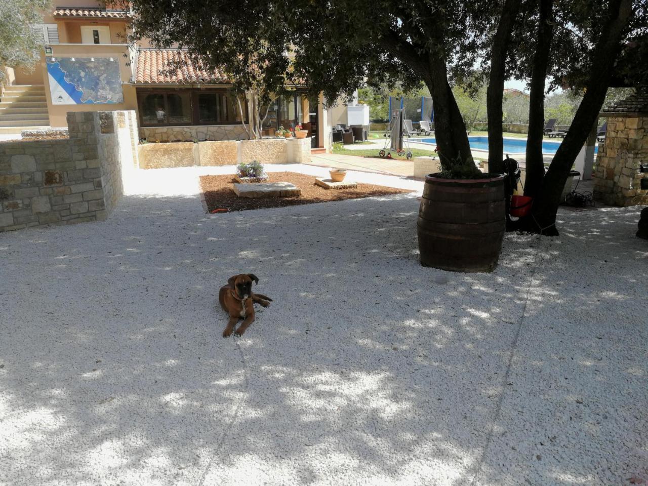 Guesthouse "Barboska" - Big Outdoor Swimming Pool & Private Tennis Court Vodnjan Luaran gambar
